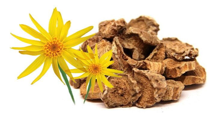 Devil's root and arnica in Hondrolife